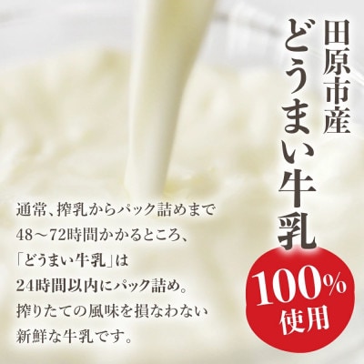 どうまい牛乳のミルクソフトクリーム9個セット CAS冷凍 生乳アイスクリーム(訳あり/不揃い)