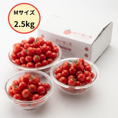 グランプリ受賞 完熟 出汁推し実 ミニトマト 2.5kg