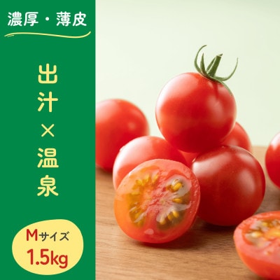 グランプリ受賞 完熟 出汁推し実 ミニトマト 1.5kg