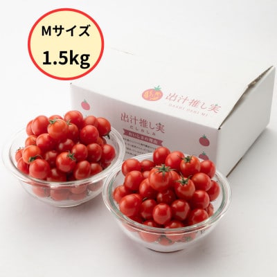 グランプリ受賞 完熟 出汁推し実 ミニトマト 1.5kg