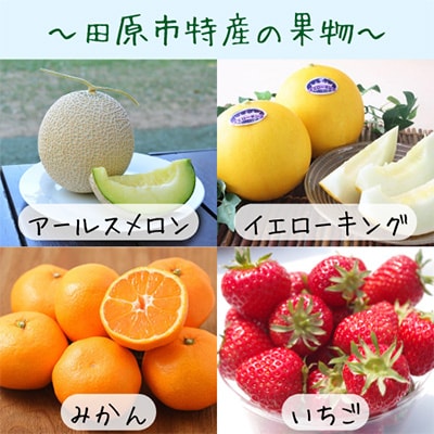 2023年9月発送開始『定期便』青果市場の野菜ソムリエ厳選旬の野菜・果物セット(8～12品)12回