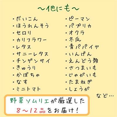 2023年9月発送開始『定期便』青果市場の野菜ソムリエ厳選旬の野菜・果物セット(8～12品)12回