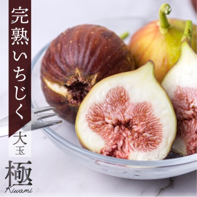 完熟いちじく[極]9～12玉 　約1kg