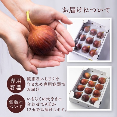 完熟いちじく[極]9～12玉 　約1kg
