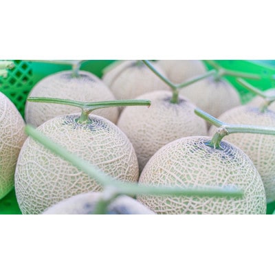 野菜ソムリエ推薦!潮風育ちマスクメロン2玉(3～4キロ)カラーギフト箱入り7～8月発送