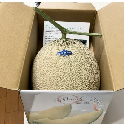 野菜ソムリエ推薦!潮風育ちマスクメロン大玉1玉　カラーギフト箱入り7～8月発送