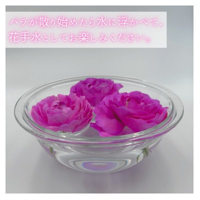 バラの花束　訳ありチャーミングローズ50本