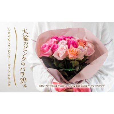 大輪のバラの花束 ピンク 20本 (40cm)