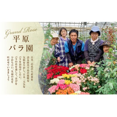 【2週間毎定期便】薔薇のアレンジメント プレミアム 花束 最上級 30本 (50cm)全12回