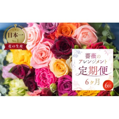 【毎月定期便】バラ20本(40cm)のアレンジブーケ全6回