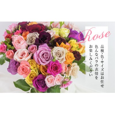 【毎月定期便】バラの花束　訳ありチャーミングローズ50本全6回