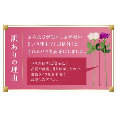【毎月定期便】バラの花束　訳ありチャーミングローズ50本全6回