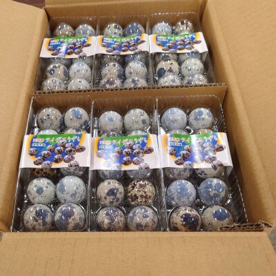 タイデスうずら卵10卵入24パック