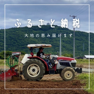 田原ぎょうざ　75個