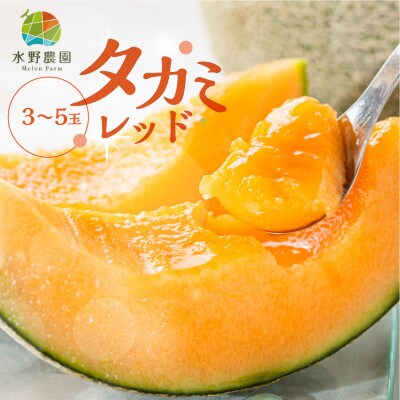 渥美半島産　水野農園のタカミレッドメロン約5kg(3玉～5玉)