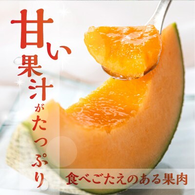 渥美半島産　水野農園のタカミレッドメロン約5kg(3玉～5玉)
