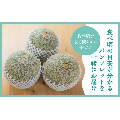 渥美半島産　水野農園のタカミレッドメロン約5kg(3玉～5玉)