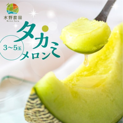 渥美半島産　水野農園のタカミメロン約5kg(3玉～5玉)