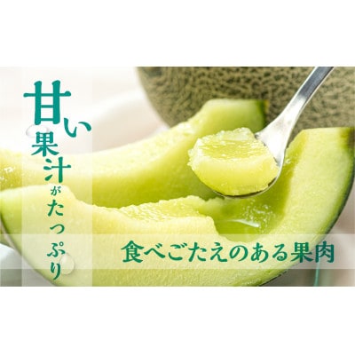渥美半島産　水野農園のタカミメロン約5kg(3玉～5玉)
