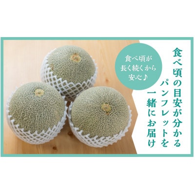 渥美半島産　水野農園のタカミメロン約5kg(3玉～5玉)