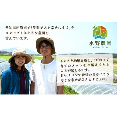 渥美半島産　水野農園のタカミメロン約5kg(3玉～5玉)