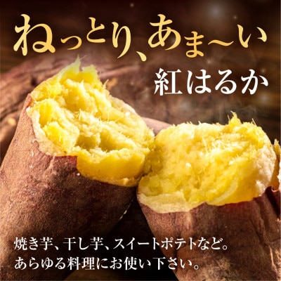 【先行受付】訳ありさつまいも 紅はるか3kg サイズ無選別 熟成済
