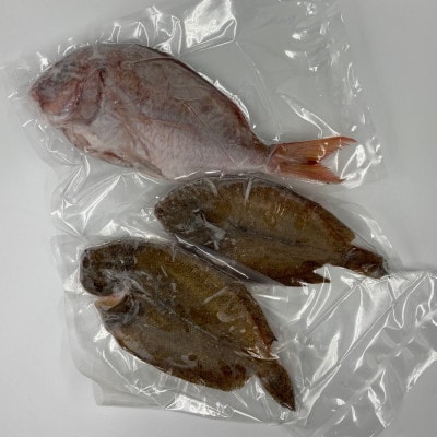 渥美魚市場の旬の鮮魚　おまかせ2種セット