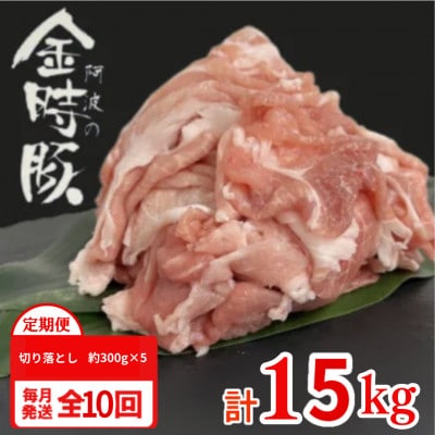【毎月定期便】計15kg|阿波の金時豚　豚肉切り落とし　約300g×5パック(1.5kg)全10回