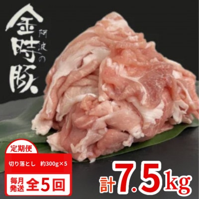 【毎月定期便】計7.5kg|阿波の金時豚　豚肉切り落とし　約300g×5パック(1.5kg)全5回