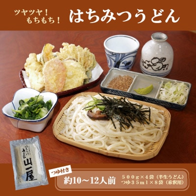 はちみつうどん500g×4袋 約10～12人前(半生うどん)