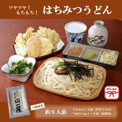 【のし付き】はちみつうどん500g×3袋 約8人前(半生うどん)