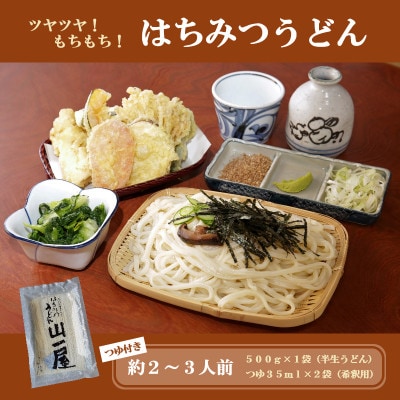 はちみつうどん500g×1袋　約2～3人前(半生うどん)
