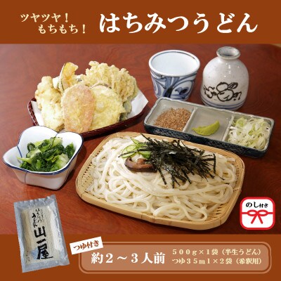 【のし付き】はちみつうどん500g×1袋　約2～3人前(半生うどん)