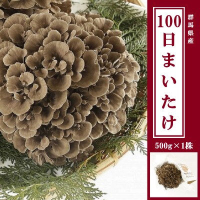 100日まいたけ 500g×1株
