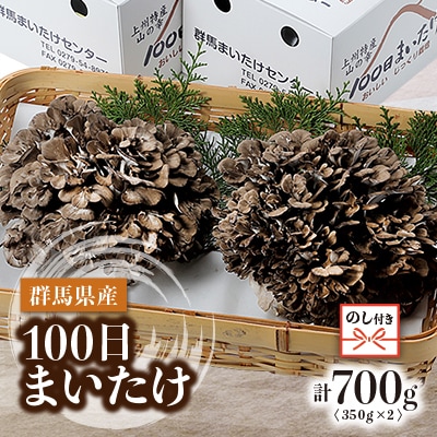 【のし付き】100日まいたけ 350g×2箱