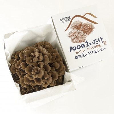 【のし付き】100日まいたけ 350g×2箱