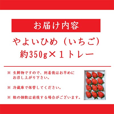 やよいひめ(いちご)約350g×1トレー　