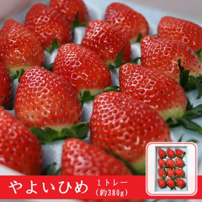 やよいひめ やよいひめ(いちご)約380g×1トレー | 群馬県吉岡町 | ふるさと納税