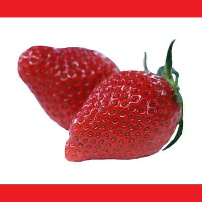 やよいひめ(いちご)約380g×1トレー | 群馬県吉岡町 | ふるさと納税