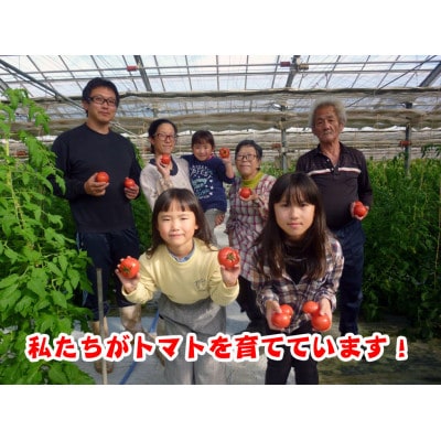栗田温室農園の王様トマト(4kg箱)農林水産大臣賞受賞!