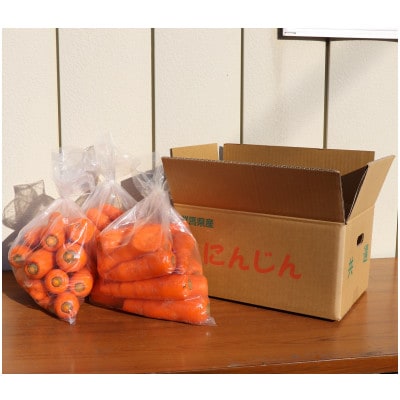 【訳あり】にんじん約10kg