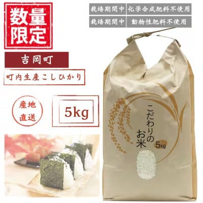 こしひかり(精米)【ミズサワ】令和7年産　低農薬　5kg