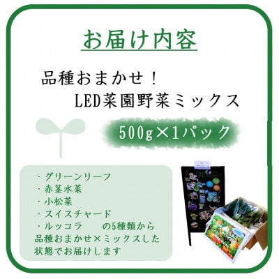 品種おまかせ!LED菜園野菜ミックス 500g×1パック