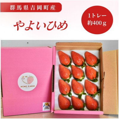 群馬県産いちご　やよいひめ　約400g