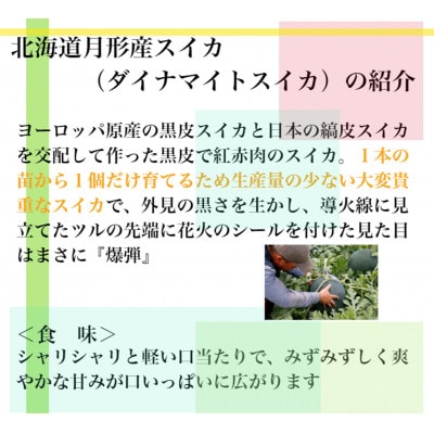 【令和7年7月より出荷・先行受付】北海道月形町産　黒皮スイカ『ダイナマイトスイカ』約5.5kg×1玉
