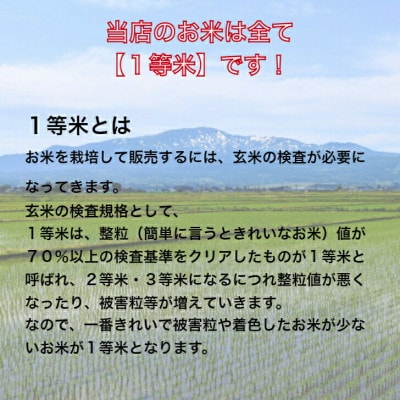【先行受付・令和7年産】北海道月形町産ゆめぴりか5kg　特Aランク獲得12年連続獲得