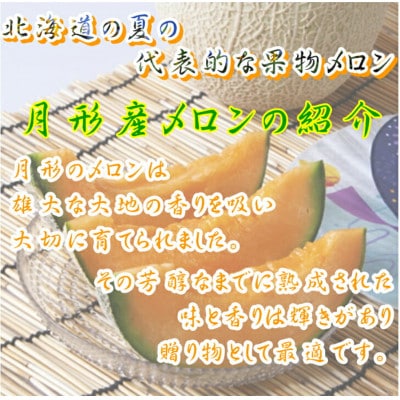【令和7年7月～8月発送・先行受付】北海道月形町産赤肉メロン『北の女王』1玉 約1.6kg