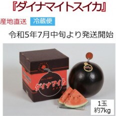 【令和5年7月～8月発送・先行受付】【冷蔵】北海道月形町産　ダイナマイトスイカ　約7kg(1玉)秀品