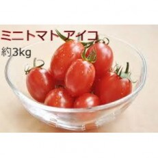 北海道月形町産　ミニトマト アイコ　約3kg 1箱