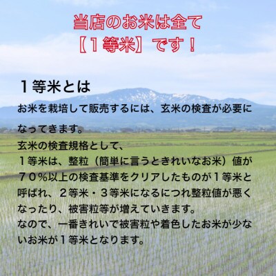 【毎月定期便】特Aランク獲得北海道月形町ななつぼし10kg×6カ月定期発送　全6回